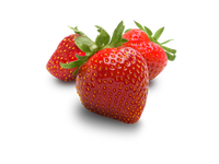 Wild Strawberry